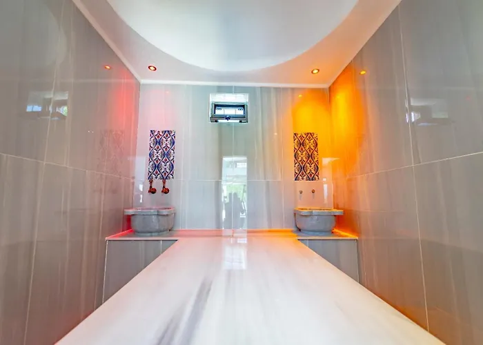 ヴィラ Harika Bayirkoy (Seydikemer)